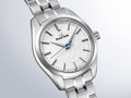 SBGX359G - Annual Accuracy Quartz